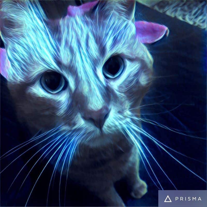 electric