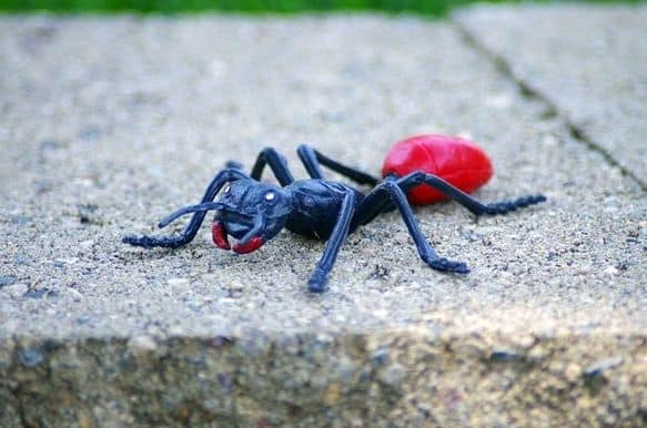 Scherzi ai bambini formica di plastica