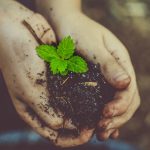 Cos'è l'Earth Day e quali sono gli eventi in Italia?