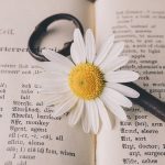 Faire une formation en anglais : les avantages