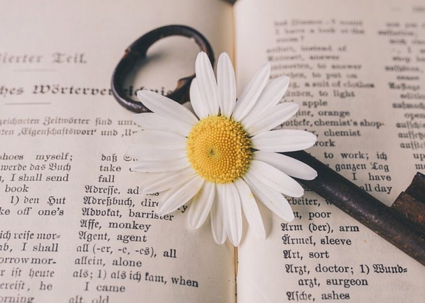 myes my english school blog