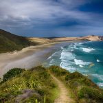Les métiers les plus demandés en Nouvelle-Zélande