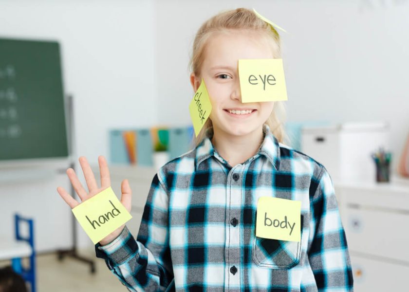 Las partes del cuerpo en inglés