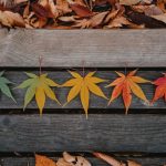 Les saisons en anglais
