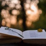 7 capolavori in inglese per celebrare la Giornata Mondiale della Poesia