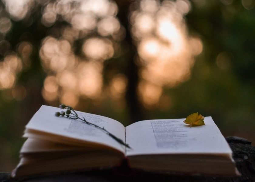 giornata mondiale della poesia