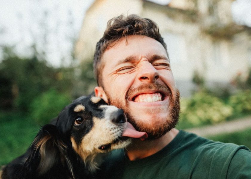 versi animali in inglese